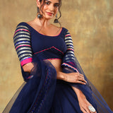 Navy Blue Lehenga With Silver Striped Border And Pink Trim