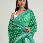 Sea Green Organza Arch Crafted Saree