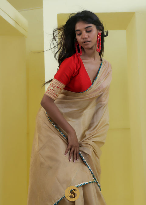 <img> Dark Beige Tissue Designer Saree With Embroidery Border