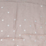 Powdery Peach Tissue Organza Saree With Hand Embroidery