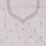 Baby Pink Tissue Organza Saree With Hand Embroidery