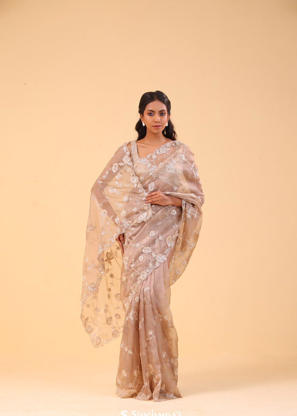 Sand Brown Organza Handcrafted Saree