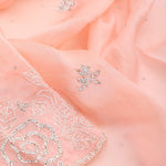 Salmon Peach Organza Saree With Embroidery Detail