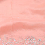Salmon Peach Organza Saree With Embroidery Detail