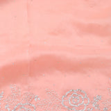 Salmon Peach Organza Saree With Embroidery Detail