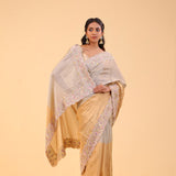 Silver Gold Dual-Colour Tissue Handcrafted Saree