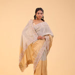 Silver Gold Dual-Colour Tissue Handcrafted Saree