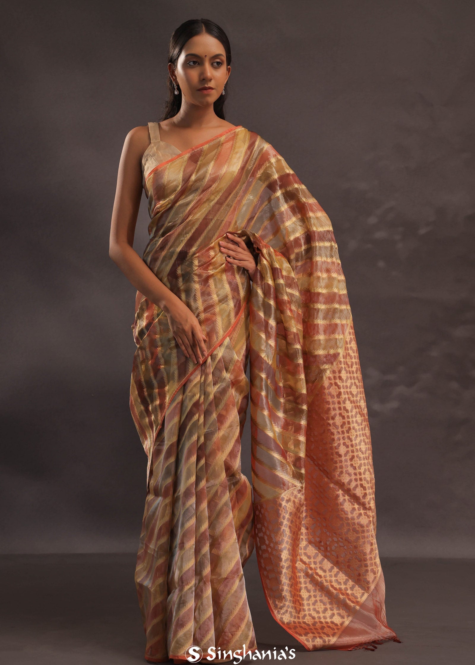 Brown Rangkat Tissue Organza Banarasi Saree With Gold Zari Work