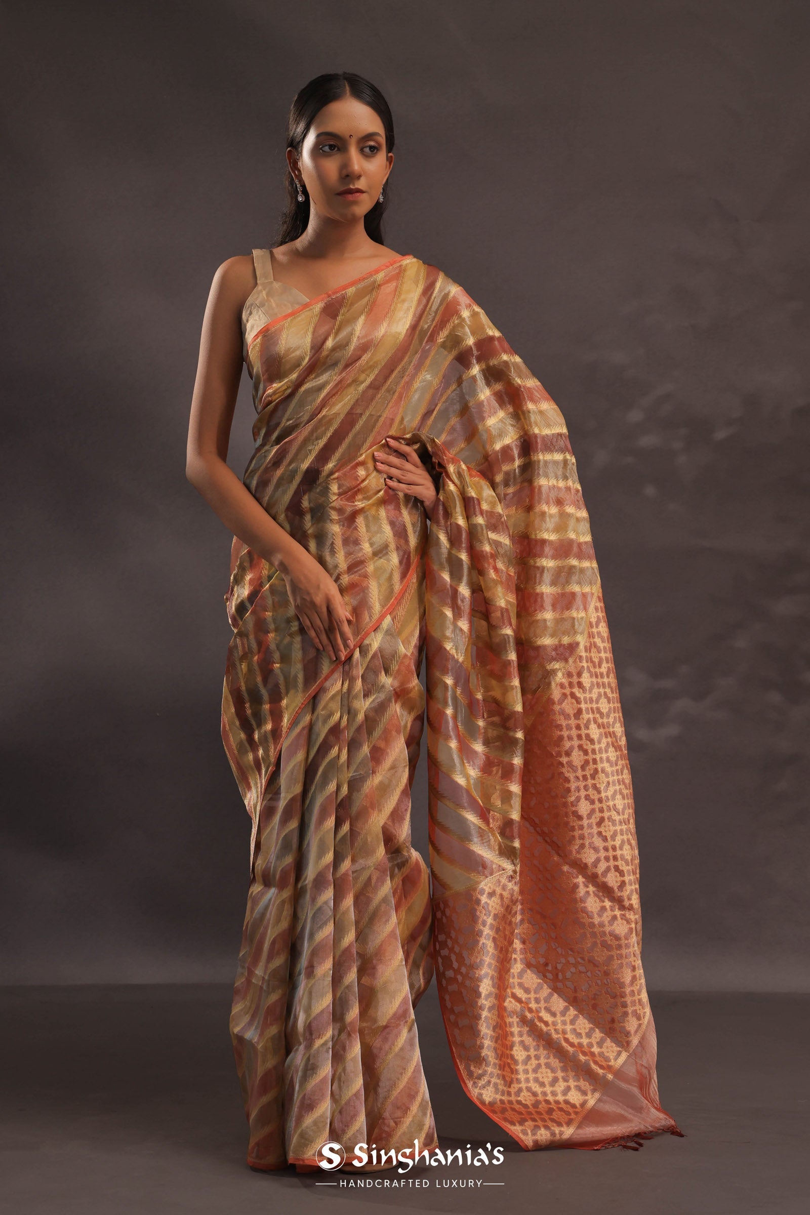 Brown Rangkat Tissue Organza Banarasi Saree With Gold Zari Work