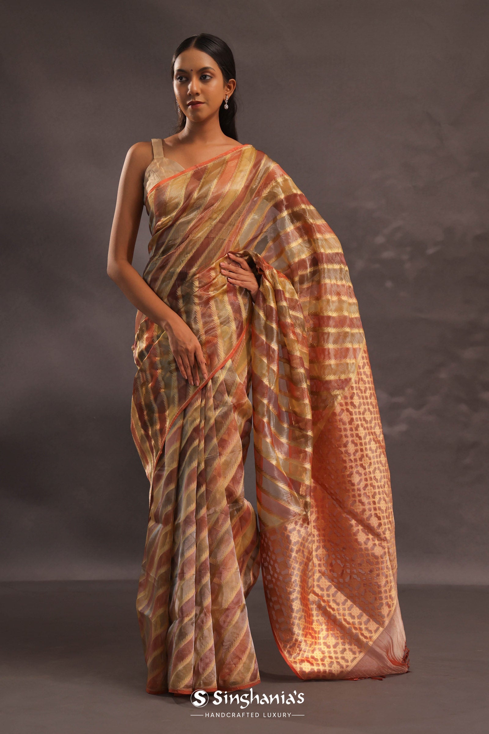 Brown Rangkat Tissue Organza Banarasi Saree With Gold Zari Work