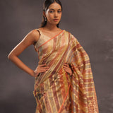Brown Rangkat Tissue Organza Banarasi Saree With Gold Zari Work