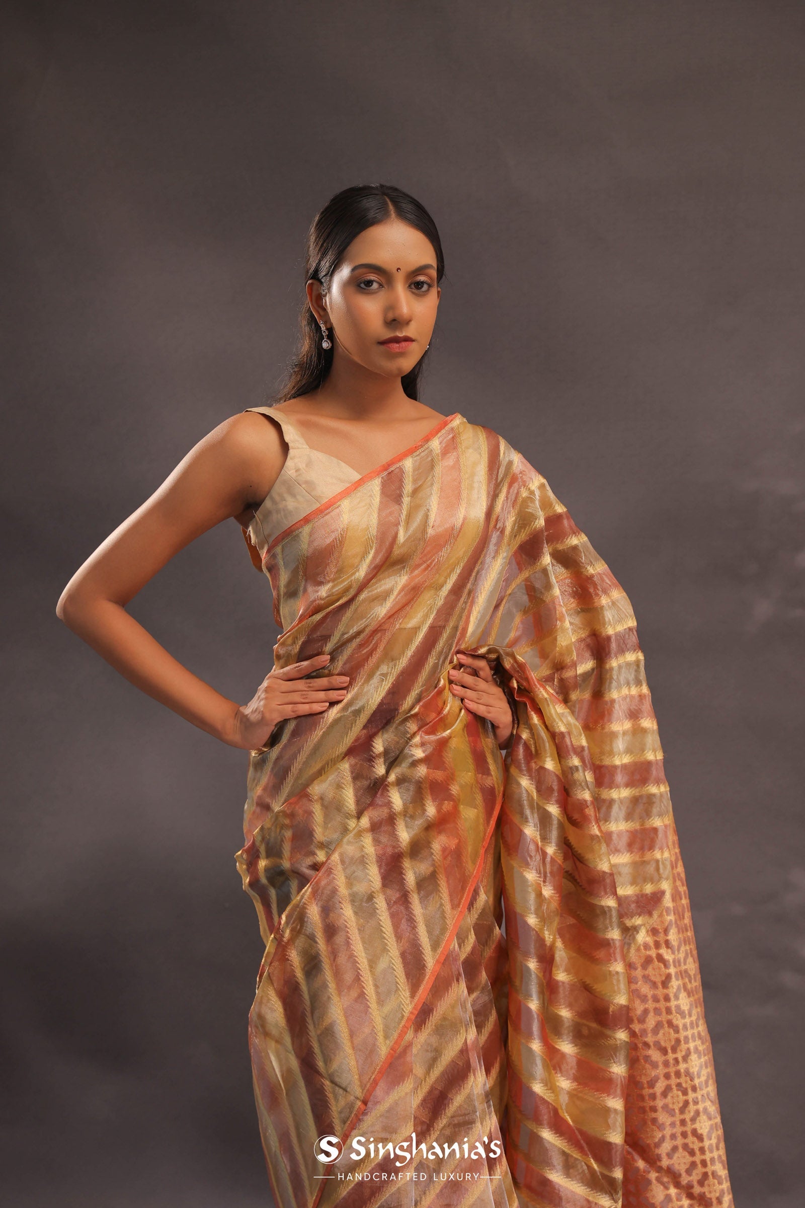 Brown Rangkat Tissue Organza Banarasi Saree With Gold Zari Work