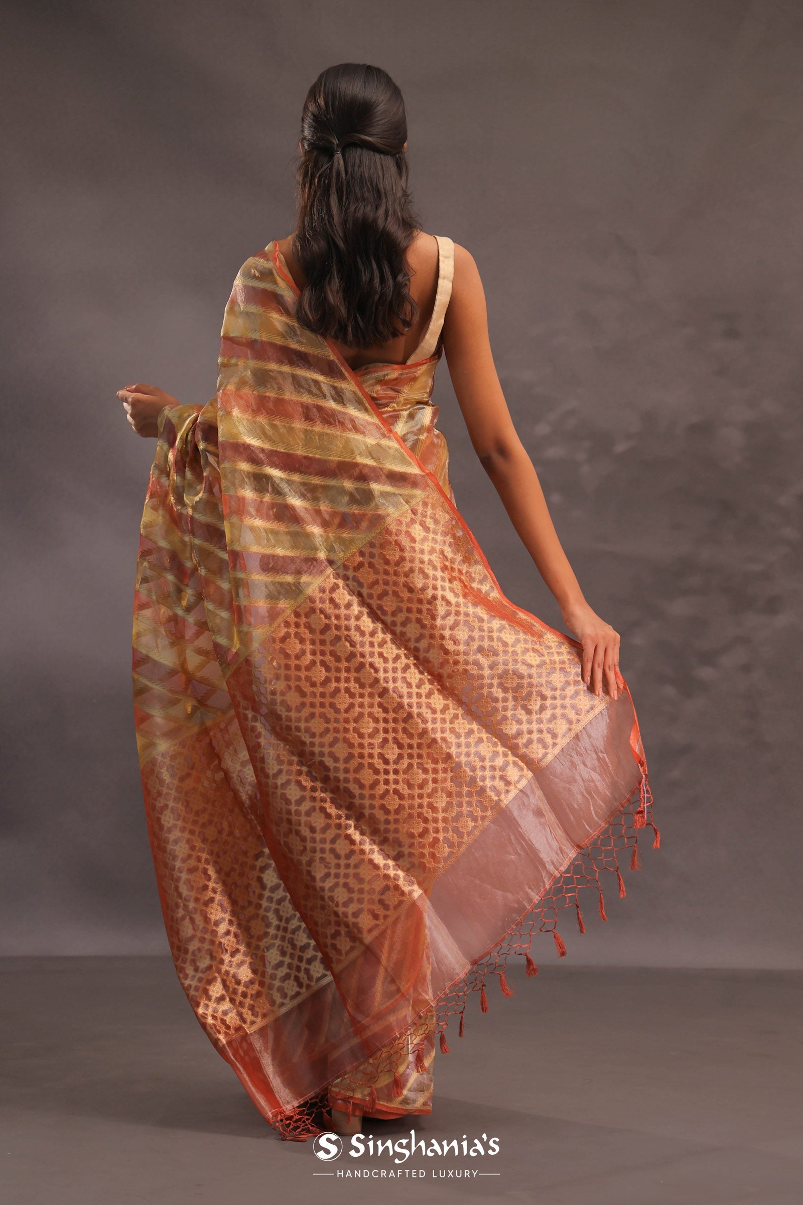Brown Rangkat Tissue Organza Banarasi Saree With Gold Zari Work