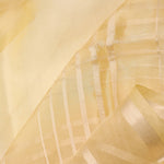 Flax Gold Tissue Banarasi Silk Saree