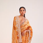 Brown Gold Tissue Handcrafted Saree