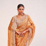 Brown Gold Tissue Handcrafted Saree