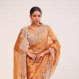 Brown Gold Tissue Handcrafted Saree