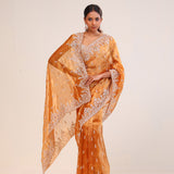 Brown Gold Tissue Handcrafted Saree