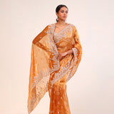 Brown Gold Tissue Handcrafted Saree