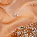 Brown Gold Tissue Handcrafted Saree