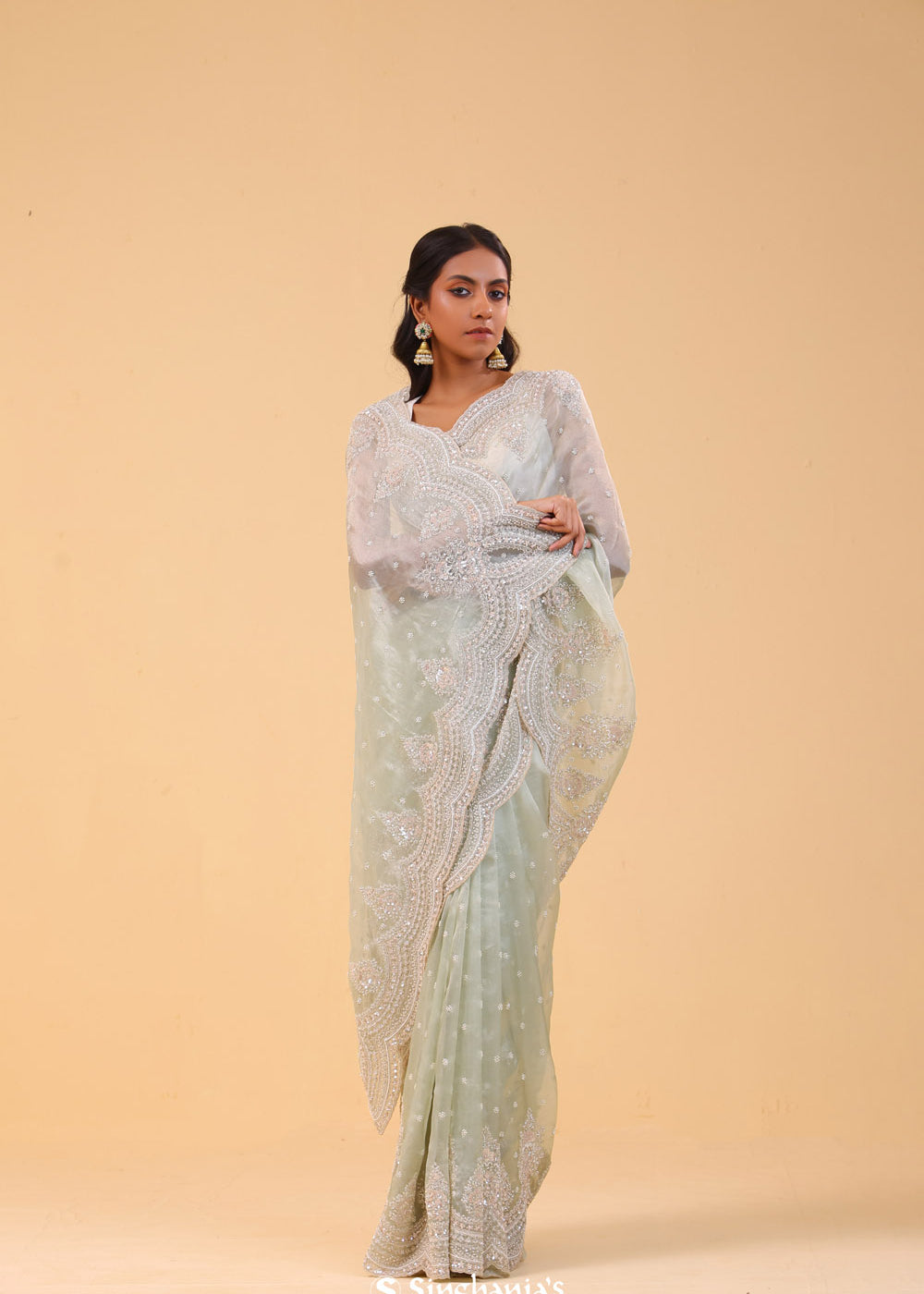 Seafoam Green Tissue Handcrafted Saree