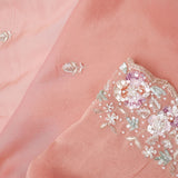 Apricot Peach Crafted Jaali Tissue Saree