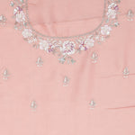 Apricot Peach Crafted Jaali Tissue Saree