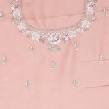 Apricot Peach Crafted Jaali Tissue Saree