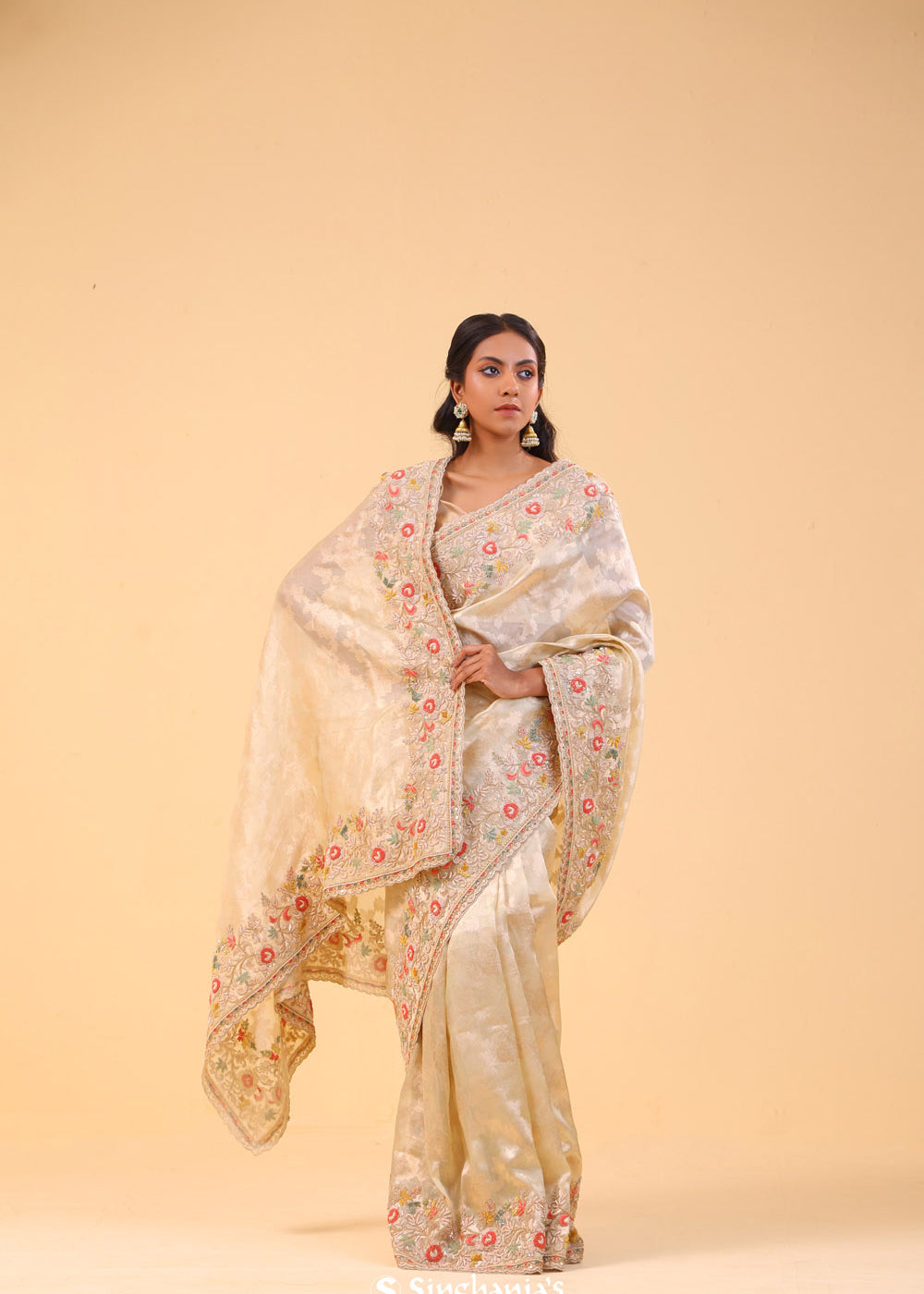 Champagne Gold Tissue Handcrafted Saree
