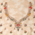 Champagne Gold Tissue Handcrafted Saree