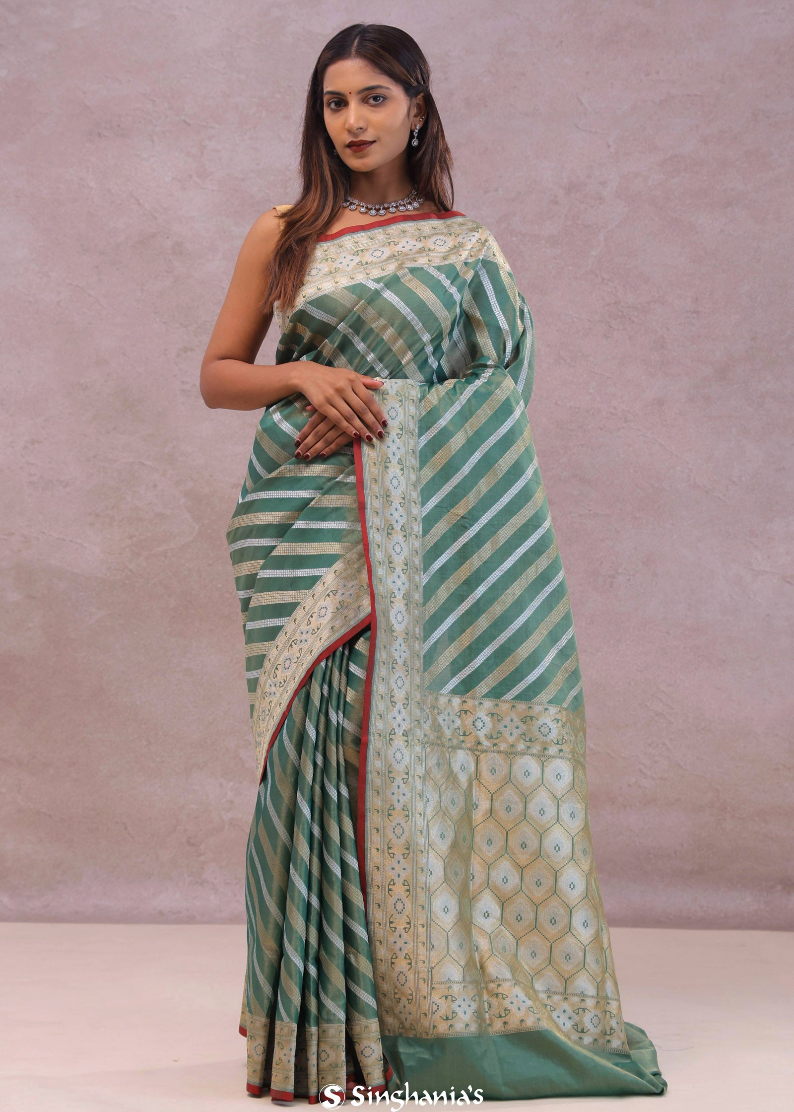 Pale Mint Green Tissue Banarasi Silk Saree With Strap Designs