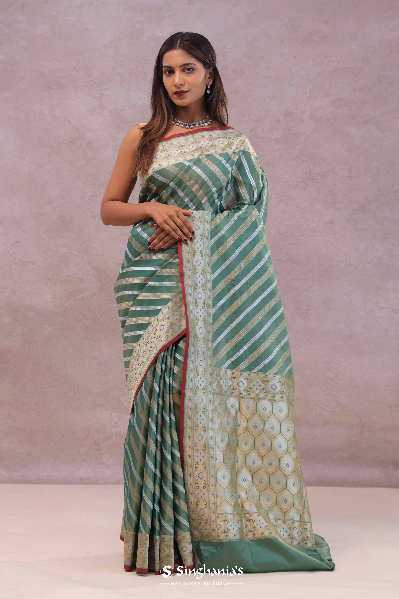 Pale Mint Green Tissue Banarasi Silk Saree With Strap Designs