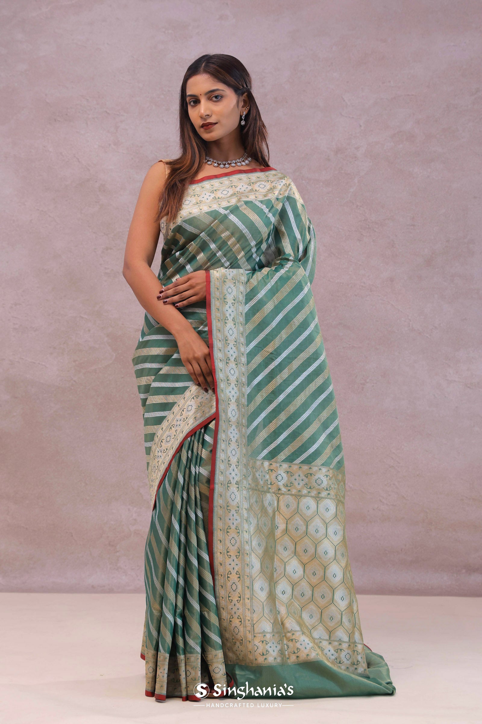 Pale Mint Green Tissue Banarasi Silk Saree With Strap Designs