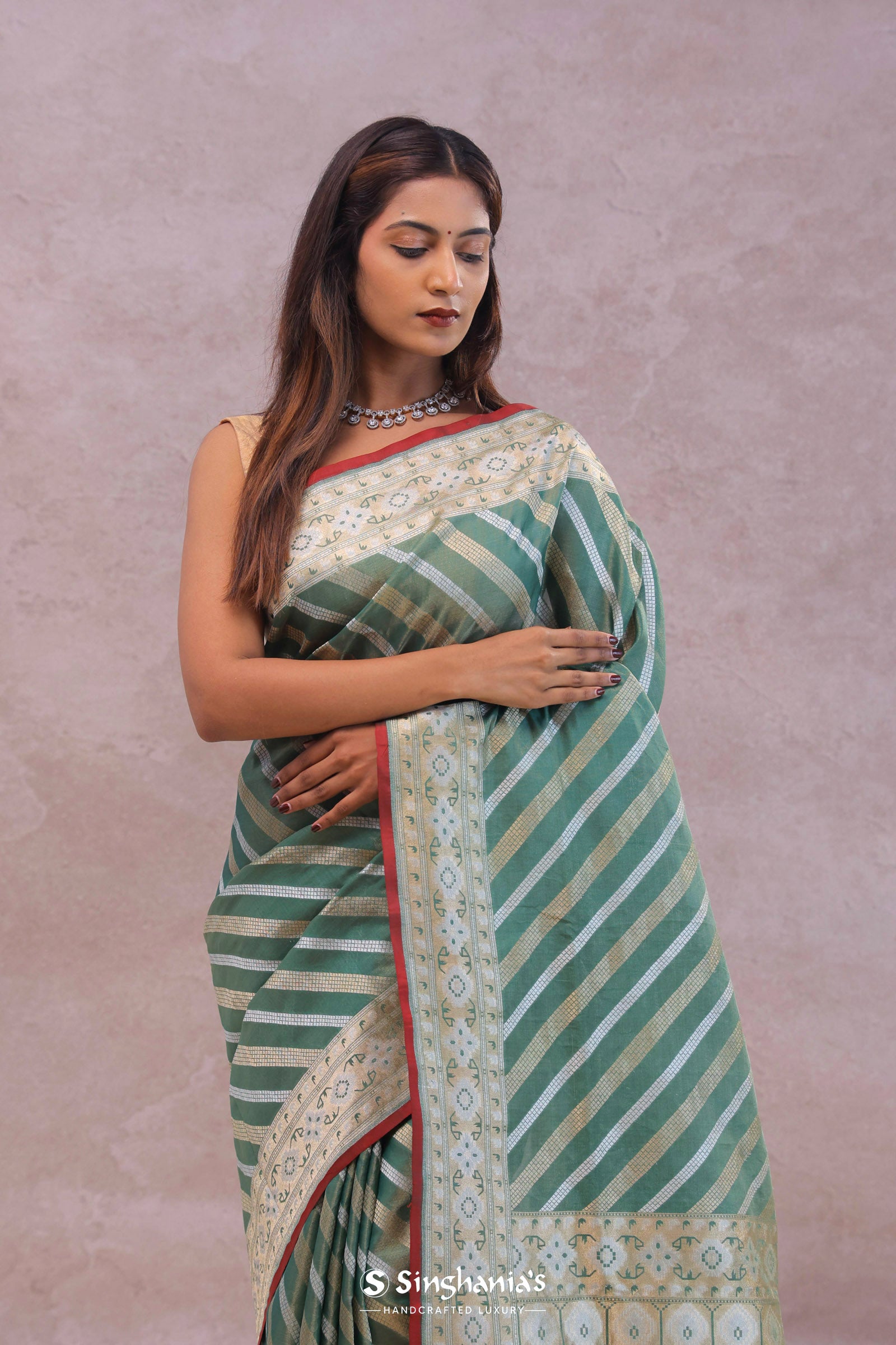Pale Mint Green Tissue Banarasi Silk Saree With Strap Designs