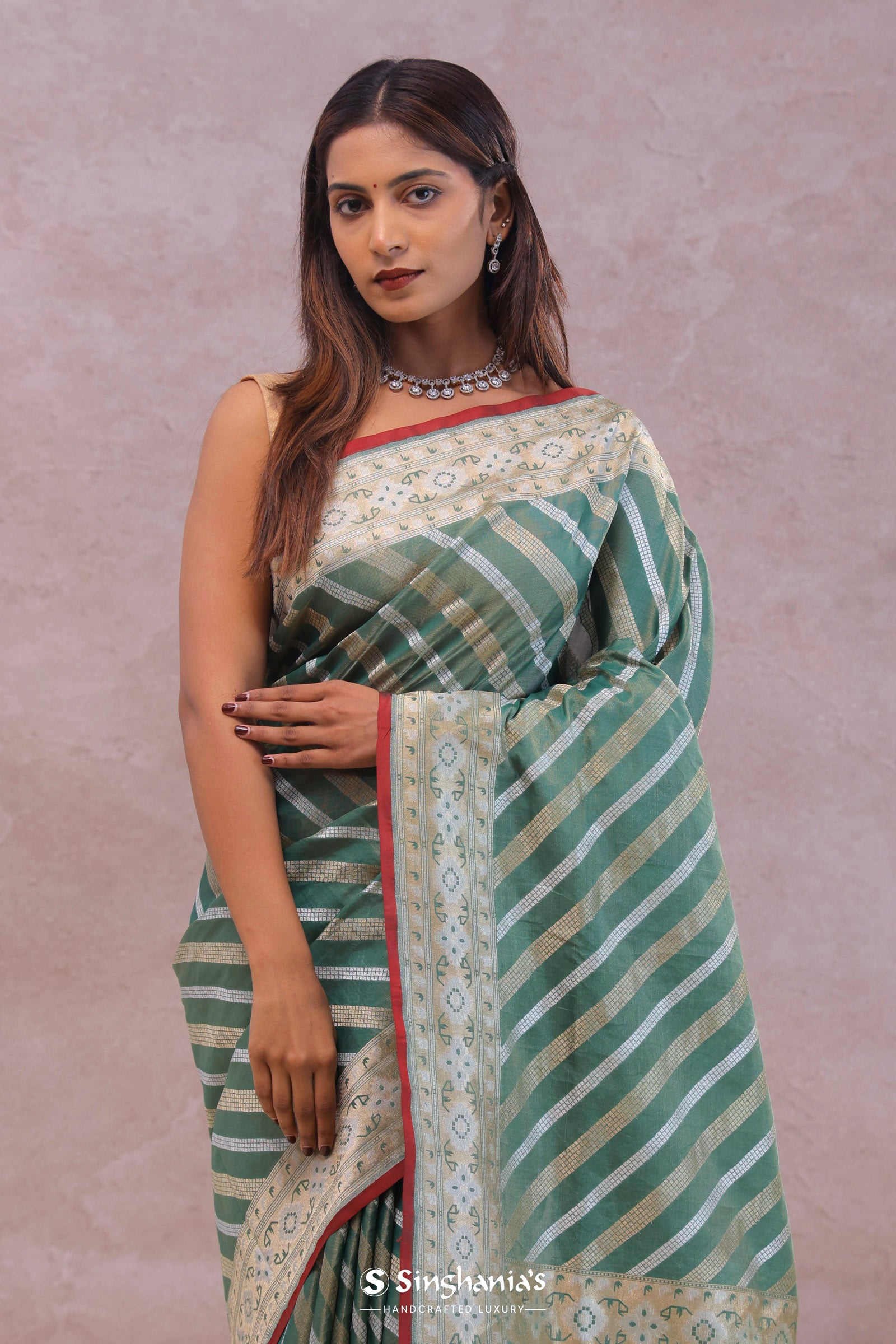 Pale Mint Green Tissue Banarasi Silk Saree With Strap Designs