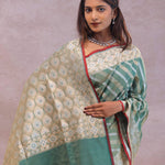 Pale Mint Green Tissue Banarasi Silk Saree With Strap Designs