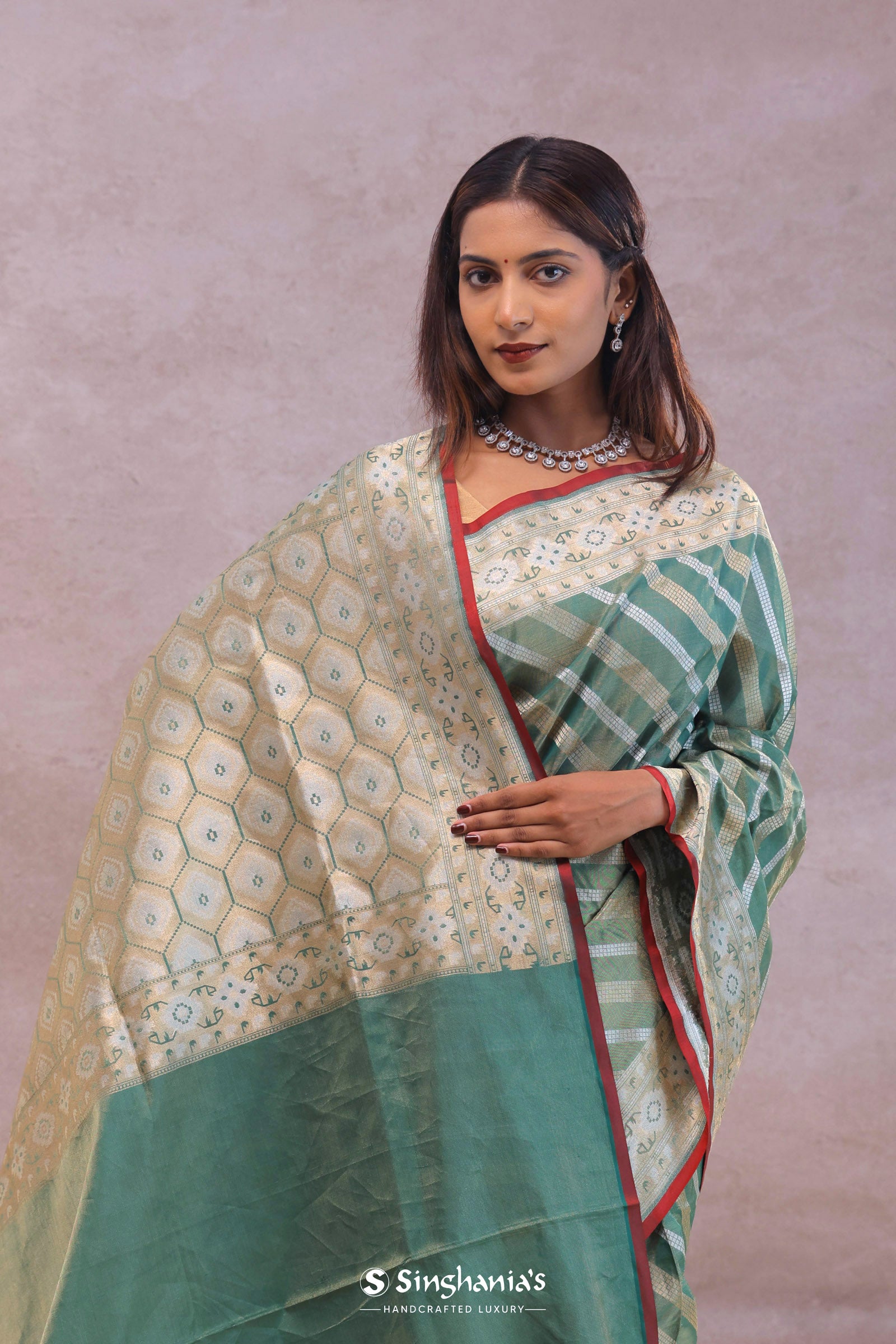 Pale Mint Green Tissue Banarasi Silk Saree With Strap Designs