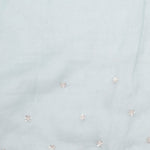 Bluish Grey Tissue Saree With Embroidery Detail