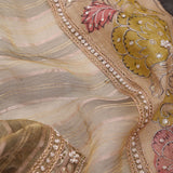 Khaki Green Handcrafted Designer Tissue Saree