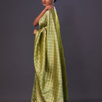 Apple Green Jaal Banarasi Silk Saree