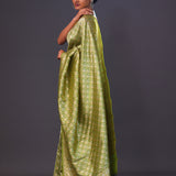 Apple Green Jaal Banarasi Silk Saree