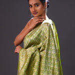 Apple Green Jaal Banarasi Silk Saree