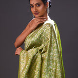 Apple Green Jaal Banarasi Silk Saree