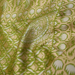 Apple Green Jaal Banarasi Silk Saree