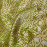 Apple Green Jaal Banarasi Silk Saree