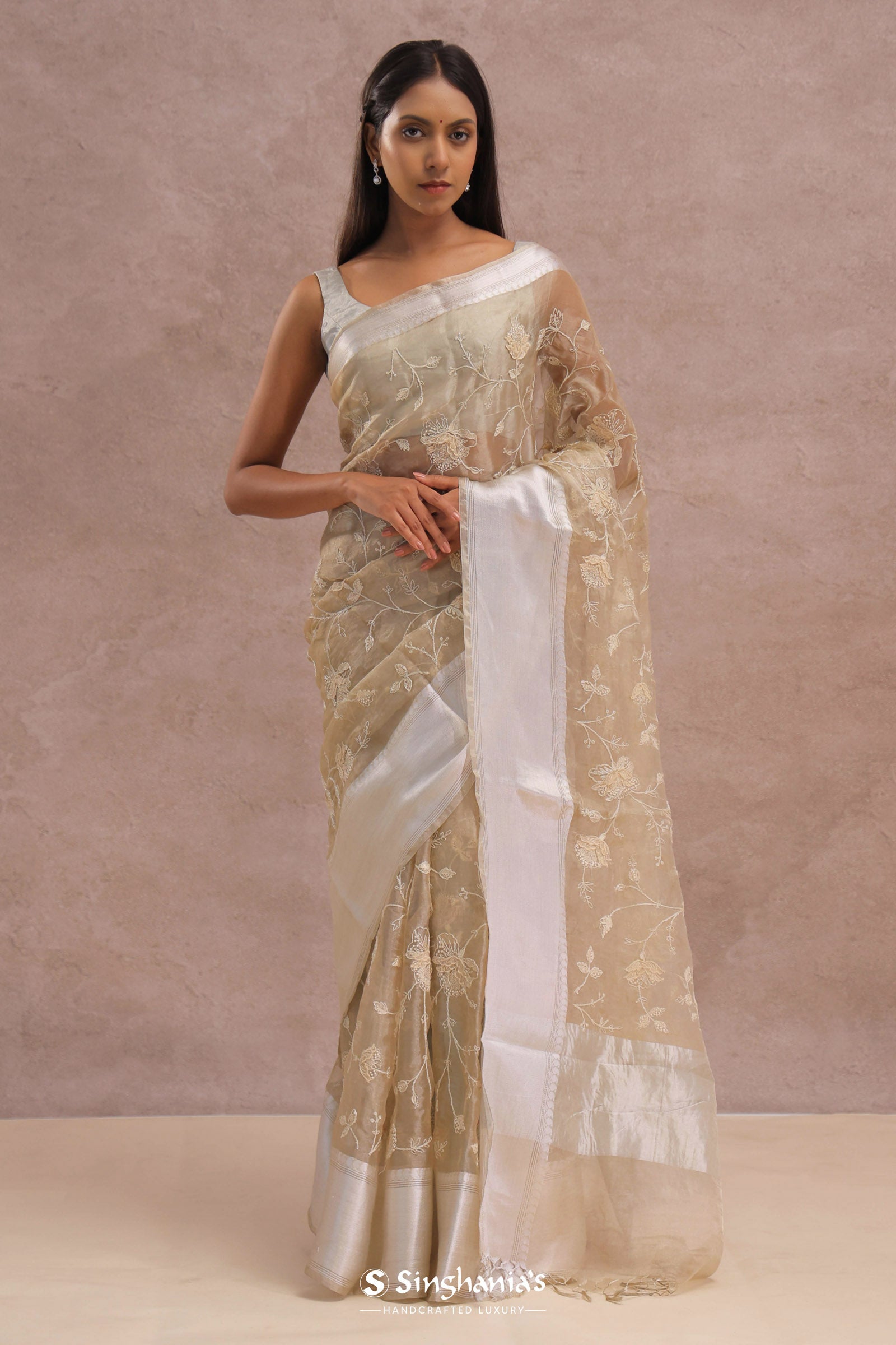 Soft Beige Organza Embroidery Saree With Silver Zari Work