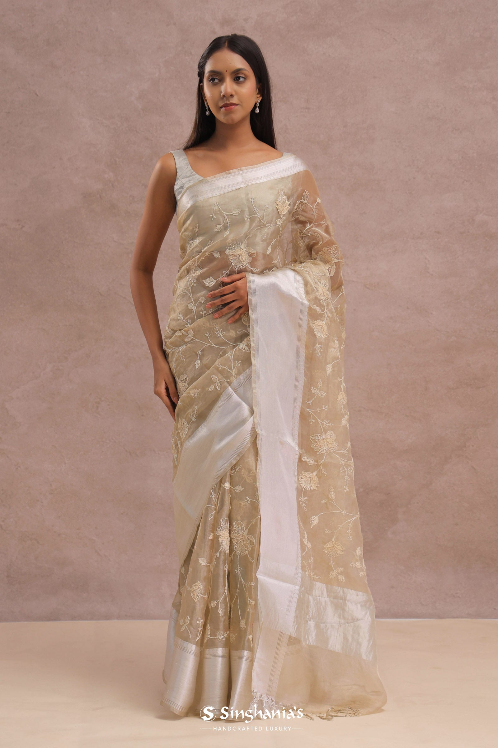 Soft Beige Organza Embroidery Saree With Silver Zari Work