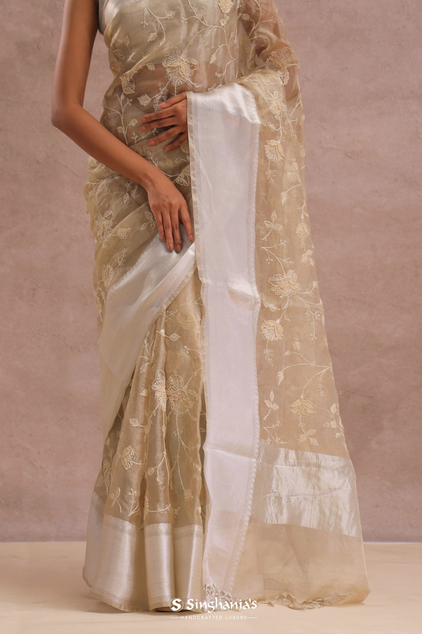 Soft Beige Organza Embroidery Saree With Silver Zari Work