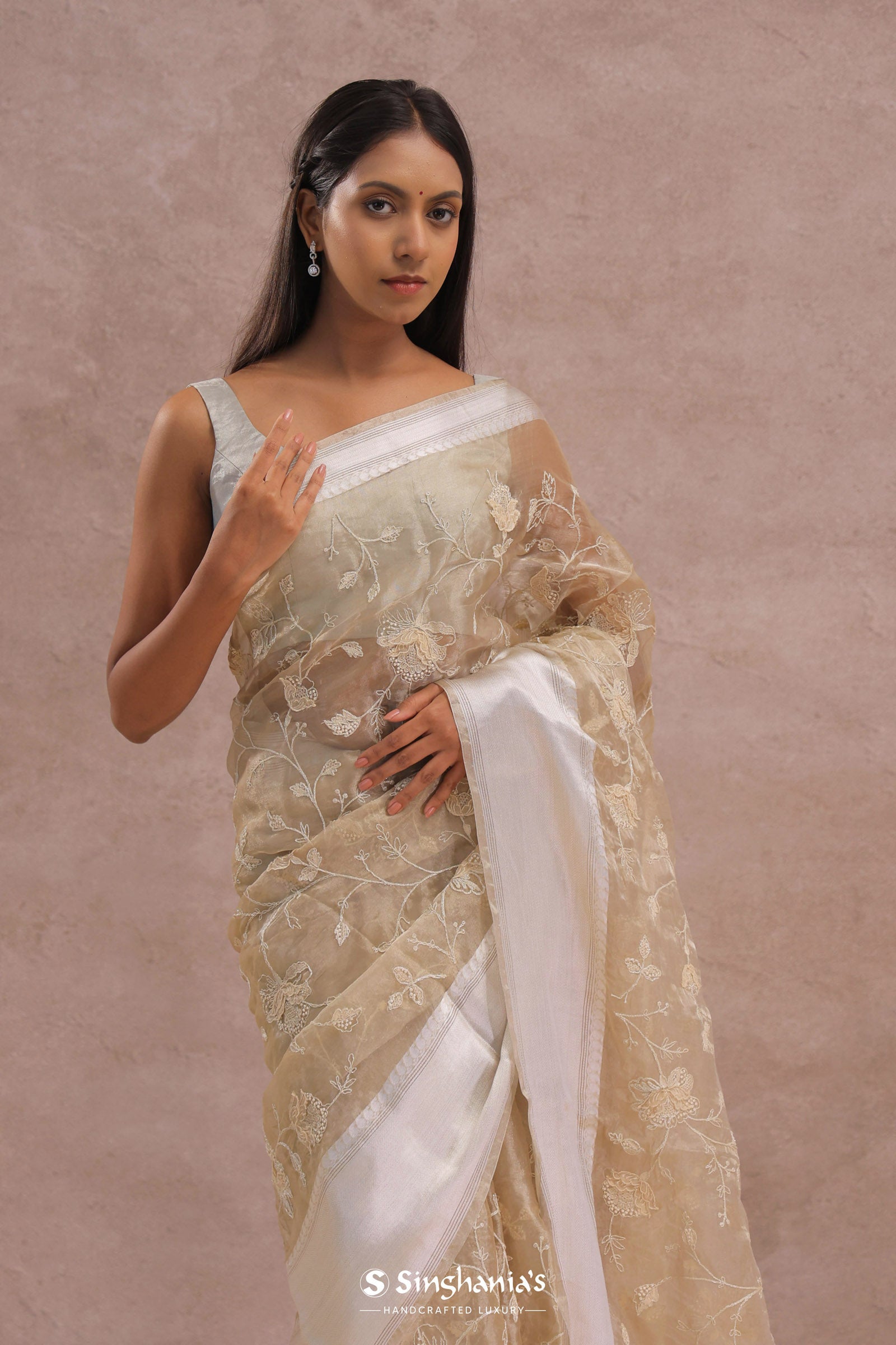 Soft Beige Organza Embroidery Saree With Silver Zari Work
