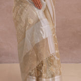 Soft Beige Organza Embroidery Saree With Silver Zari Work